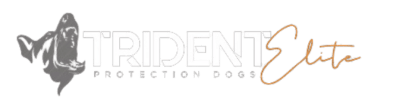 trident-elite-protection-dogs