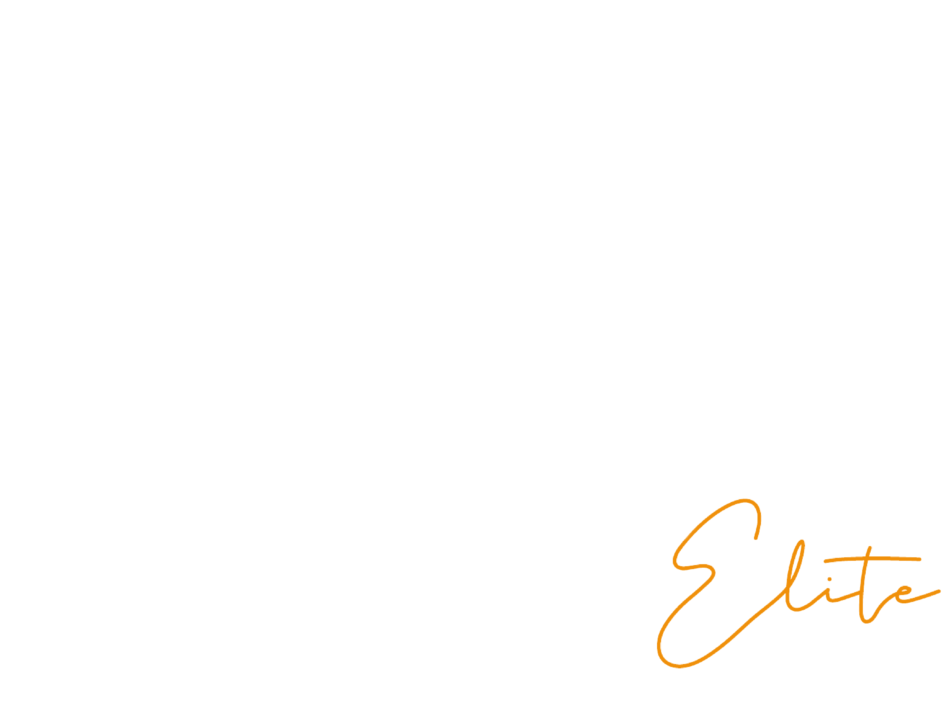 available-dogs-trident-elite-protection-dogs