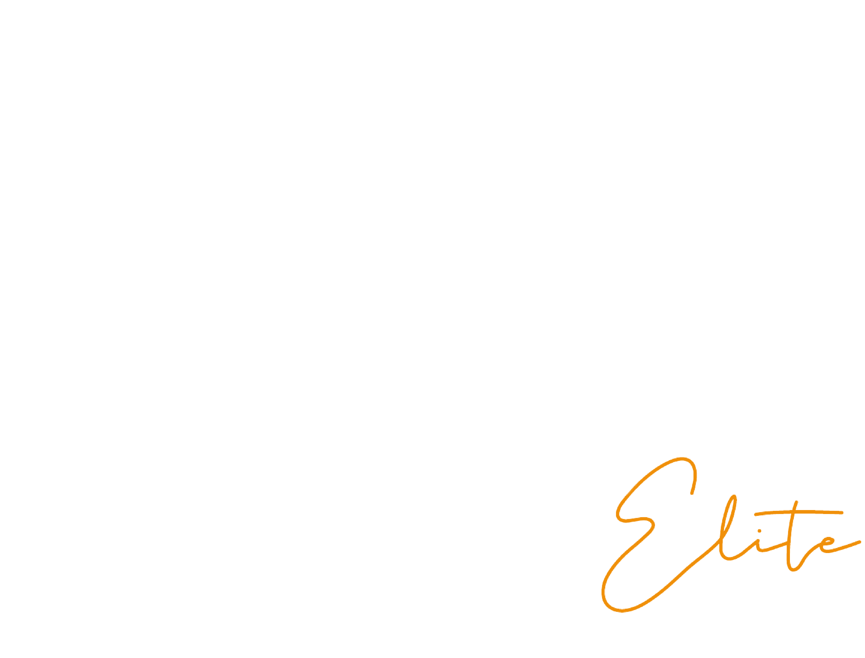 Trident Protection Dogs logo