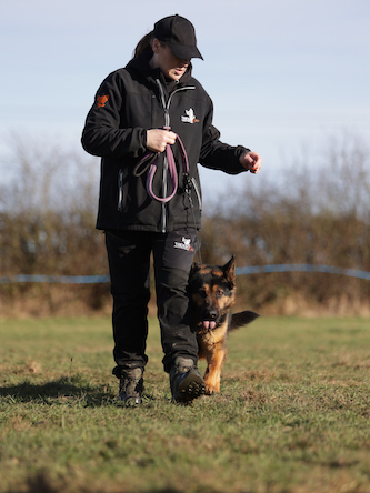 as-a-celebrity-why-should-i-own-a-protection-dog